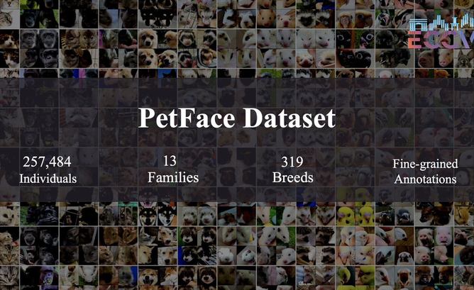 PetFace